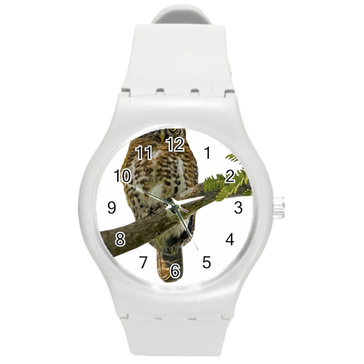 Owl Bird Round Plastic Sport Watch (M)