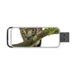 Owl Bird Portable Usb Flash (one Side) by Sapixe