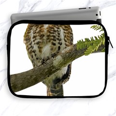 Owl Bird Apple Ipad 2/3/4 Zipper Cases by Sapixe