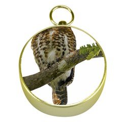 Owl Bird Gold Compasses by Sapixe