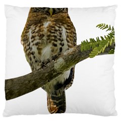 Owl Bird Standard Flano Cushion Case (one Side) by Sapixe