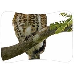 Owl Bird Velour Seat Head Rest Cushion