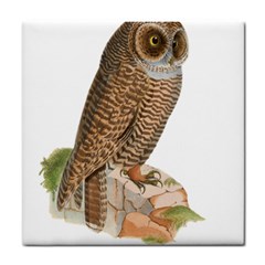 Bird Owl Animal Vintage Isolated Tile Coasters by Sapixe