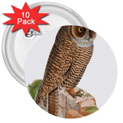 Bird Owl Animal Vintage Isolated 3  Buttons (10 Pack)  by Sapixe