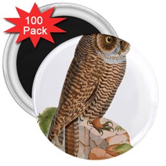 Bird Owl Animal Vintage Isolated 3  Magnets (100 Pack) by Sapixe