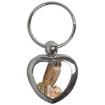 Bird Owl Animal Vintage Isolated Key Chains (Heart)  Front