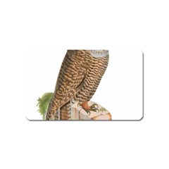 Bird Owl Animal Vintage Isolated Magnet (name Card) by Sapixe