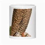 Bird Owl Animal Vintage Isolated Morph Mugs Center