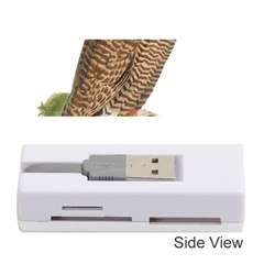 Bird Owl Animal Vintage Isolated Memory Card Reader (stick)  by Sapixe