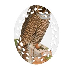 Bird Owl Animal Vintage Isolated Ornament (oval Filigree) by Sapixe