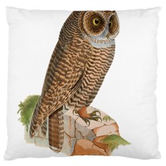 Bird Owl Animal Vintage Isolated Large Flano Cushion Case (one Side) by Sapixe