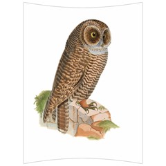 Bird Owl Animal Vintage Isolated Back Support Cushion by Sapixe