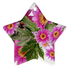 Daisies Flowers Arrangement Summer Ornament (star) by Sapixe