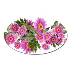 Daisies Flowers Arrangement Summer Oval Magnet by Sapixe