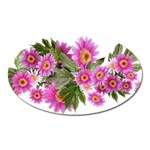 Daisies Flowers Arrangement Summer Oval Magnet Front