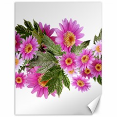 Daisies Flowers Arrangement Summer Canvas 12  X 16   by Sapixe