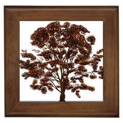 Tree Vector Ornament Color Framed Tiles by Sapixe