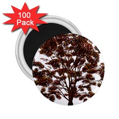 Tree Vector Ornament Color 2 25  Magnets (100 Pack)  by Sapixe