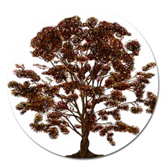 Tree Vector Ornament Color Magnet 5  (round) by Sapixe