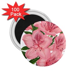 Flower Plant Blossom Bloom Vintage 2 25  Magnets (100 Pack)  by Sapixe