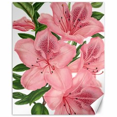 Flower Plant Blossom Bloom Vintage Canvas 16  X 20   by Sapixe