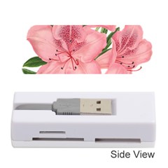 Flower Plant Blossom Bloom Vintage Memory Card Reader (stick)  by Sapixe