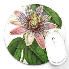 Passion Flower Flower Plant Blossom Round Mousepads by Sapixe