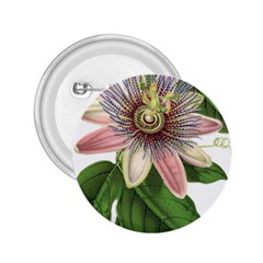 Passion Flower Flower Plant Blossom 2 25  Buttons by Sapixe