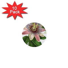 Passion Flower Flower Plant Blossom 1  Mini Buttons (10 Pack) 