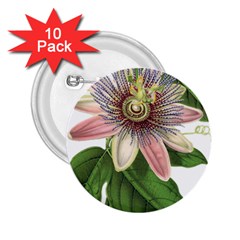 Passion Flower Flower Plant Blossom 2 25  Buttons (10 Pack)  by Sapixe