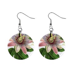 Passion Flower Flower Plant Blossom Mini Button Earrings by Sapixe