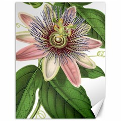 Passion Flower Flower Plant Blossom Canvas 12  X 16   by Sapixe