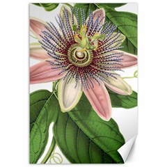 Passion Flower Flower Plant Blossom Canvas 24  X 36  by Sapixe