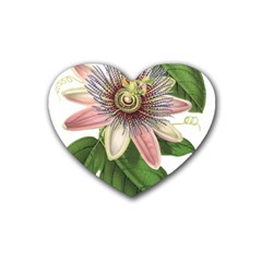 Passion Flower Flower Plant Blossom Rubber Coaster (heart)  by Sapixe