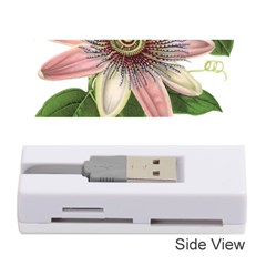 Passion Flower Flower Plant Blossom Memory Card Reader (stick)  by Sapixe