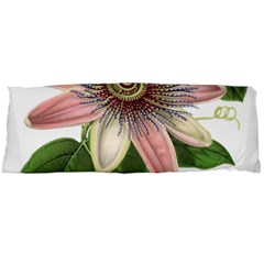 Passion Flower Flower Plant Blossom Body Pillow Case (dakimakura) by Sapixe