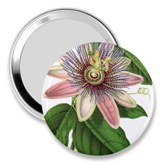 Passion Flower Flower Plant Blossom 3  Handbag Mirrors by Sapixe