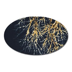 Nature Model No One Wallpaper Oval Magnet by Sapixe