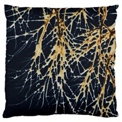 Nature Model No One Wallpaper Large Cushion Case (one Side) by Sapixe