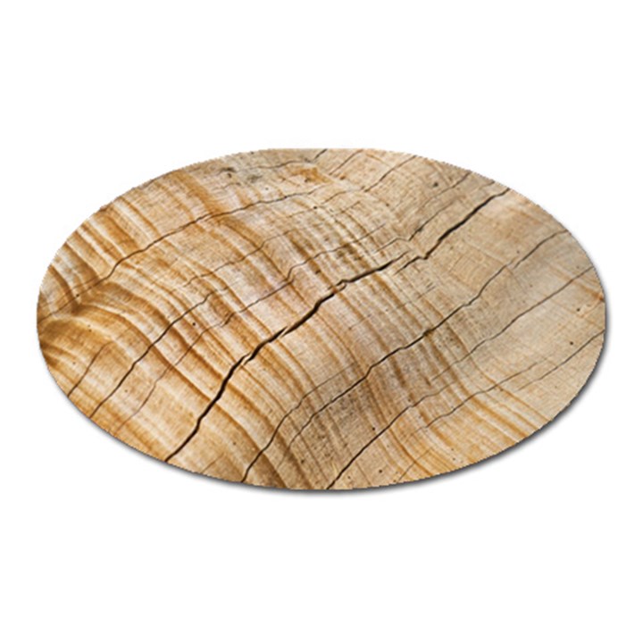 Abstract Brown Tree Timber Pattern Oval Magnet