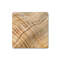 Abstract Brown Tree Timber Pattern Square Magnet