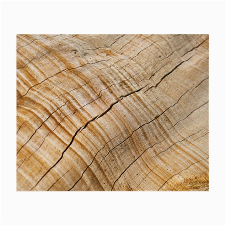 Abstract Brown Tree Timber Pattern Small Glasses Cloth