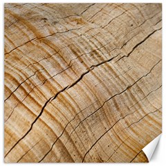 Abstract Brown Tree Timber Pattern Canvas 12  x 12  