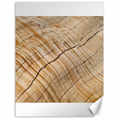 Abstract Brown Tree Timber Pattern Canvas 12  x 16  