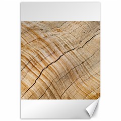 Abstract Brown Tree Timber Pattern Canvas 12  x 18  