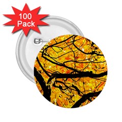 Golden Vein 2 25  Buttons (100 Pack) 