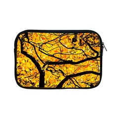 Golden Vein Apple Ipad Mini Zipper Cases