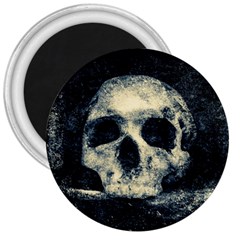 Skull 3  Magnets by FunnyCow