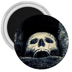 Smiling Skull 3  Magnets by FunnyCow