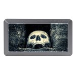 Smiling Skull Memory Card Reader (Mini) Front